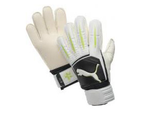 PowerCat 1.10Protect