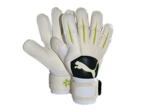 PowerCat 3.10Grip RC